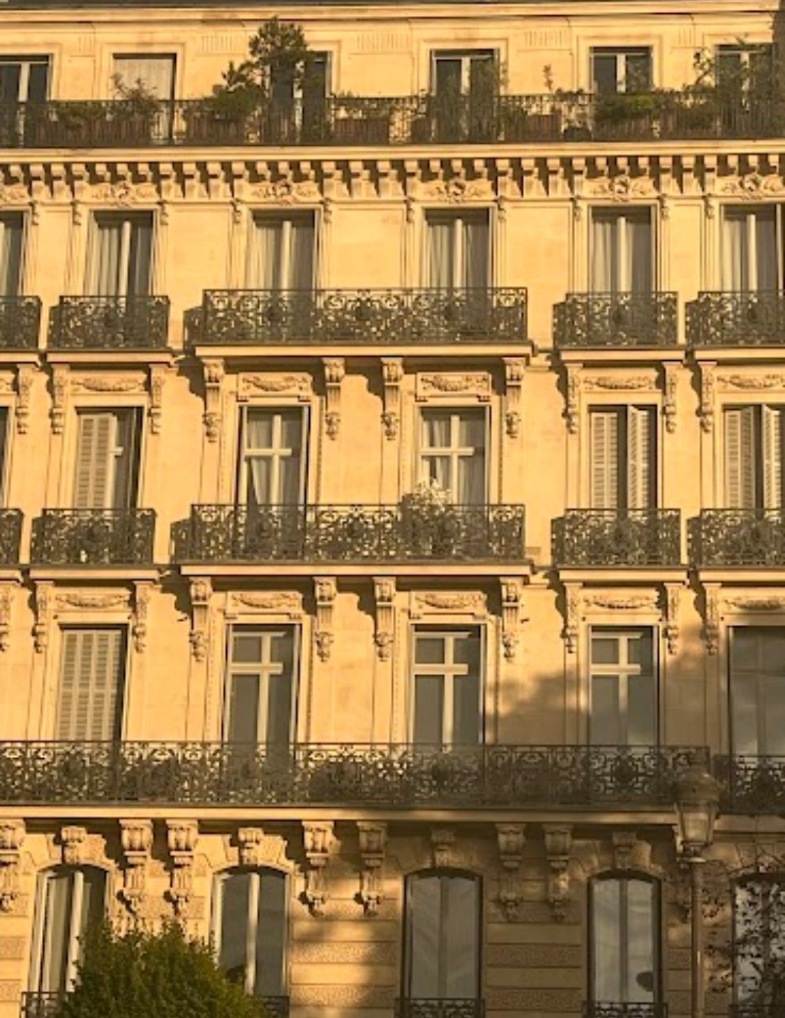 our latest european curations