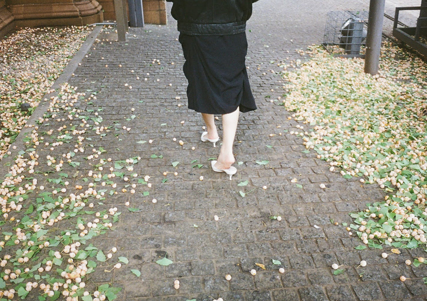 Elly - white kitten mule manolo blahnik